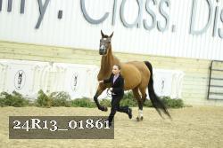 24R13_01861 thumbnail