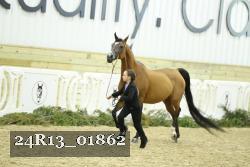 24R13_01862 thumbnail