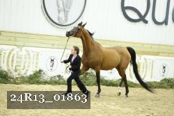 24R13_01863 thumbnail