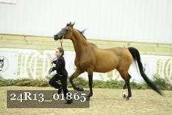 24R13_01865 thumbnail