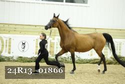 24R13_01866 thumbnail