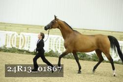 24R13_01867 thumbnail