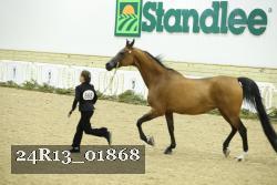24R13_01868 thumbnail