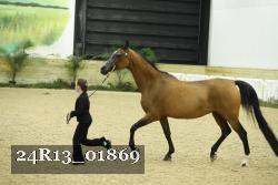 24R13_01869 thumbnail