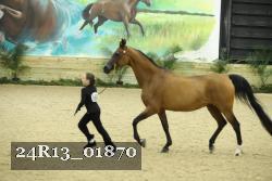 24R13_01870 thumbnail