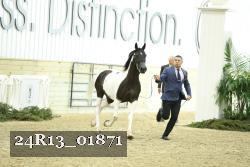 24R13_01871 thumbnail