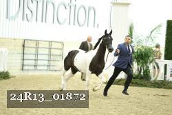 24R13_01872 thumbnail