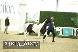 24R13_01873 thumbnail