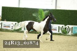 24R13_01874 thumbnail