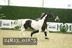 24R13_01875 thumbnail