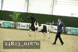 24R13_01876 thumbnail