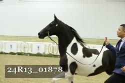 24R13_01878 thumbnail