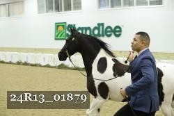 24R13_01879 thumbnail