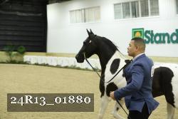 24R13_01880 thumbnail