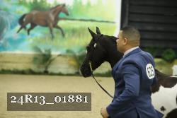 24R13_01881 thumbnail