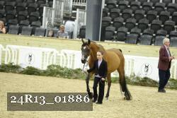 24R13_01886 thumbnail