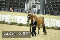 24R13_01887 thumbnail