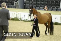24R13_01889 thumbnail