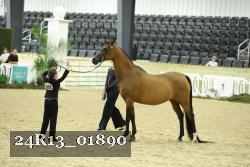 24R13_01890 thumbnail