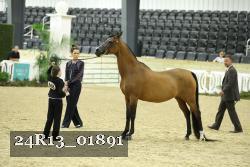 24R13_01891 thumbnail
