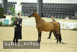 24R13_01892 thumbnail