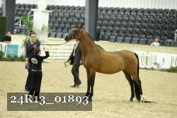 24R13_01893 thumbnail