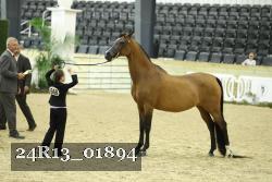 24R13_01894 thumbnail
