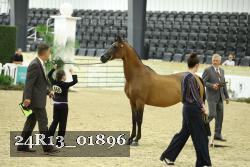 24R13_01896 thumbnail