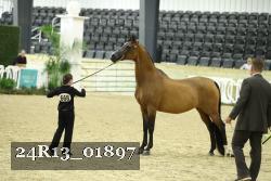 24R13_01897 thumbnail