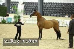 24R13_01898 thumbnail