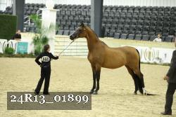 24R13_01899 thumbnail