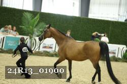 24R13_01900 thumbnail