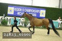 24R13_01901 thumbnail