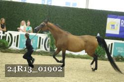 24R13_01902 thumbnail