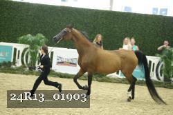 24R13_01903 thumbnail