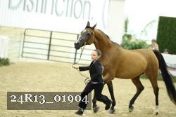 24R13_01904 thumbnail