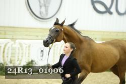 24R13_01906 thumbnail