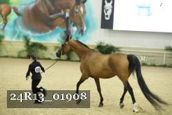 24R13_01908 thumbnail