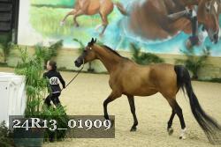 24R13_01909 thumbnail
