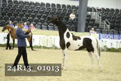 24R13_01913 thumbnail