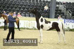 24R13_01914 thumbnail