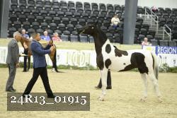 24R13_01915 thumbnail