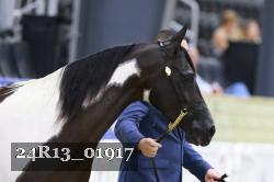 24R13_01917 thumbnail