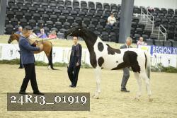 24R13_01919 thumbnail