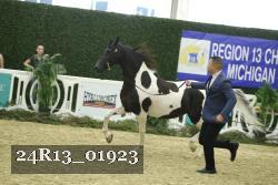24R13_01923 thumbnail