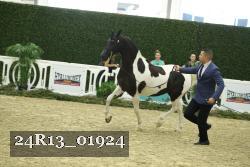 24R13_01924 thumbnail