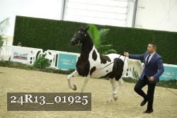 24R13_01925 thumbnail