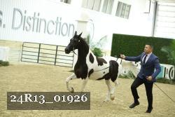 24R13_01926 thumbnail