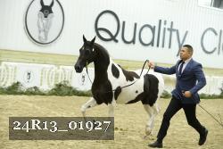 24R13_01927 thumbnail