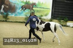 24R13_01928 thumbnail